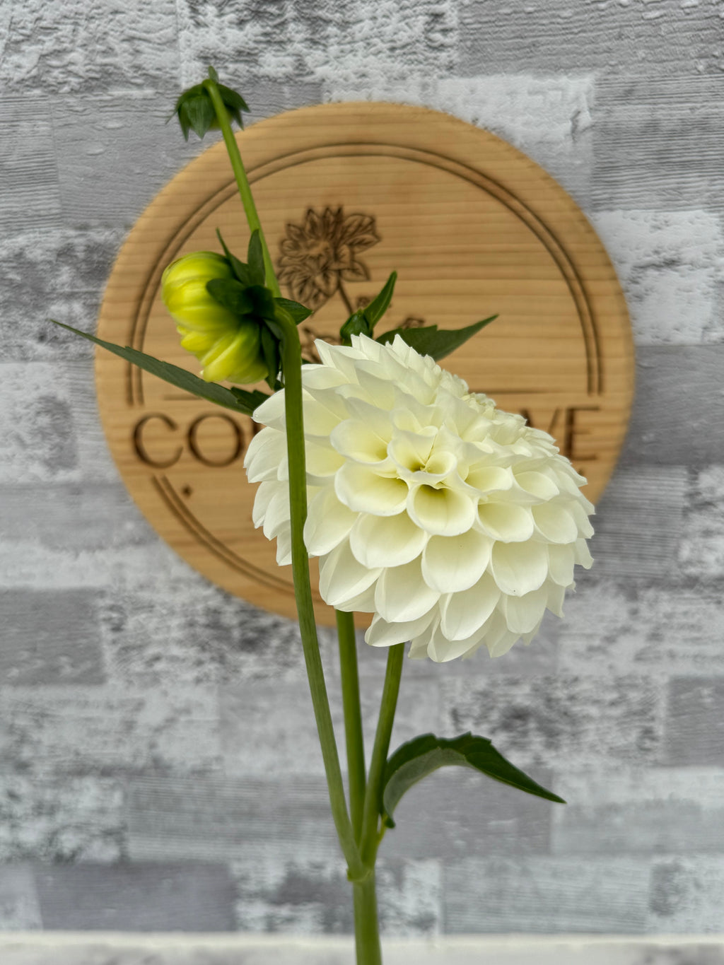 20th AVE & Baker Road