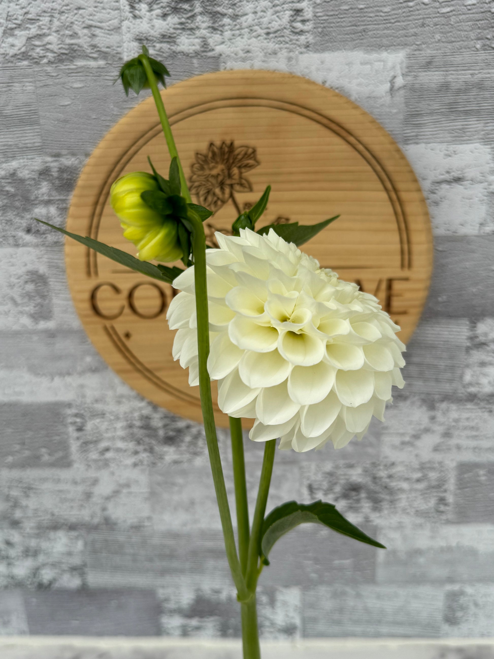 20th AVE & Baker Road