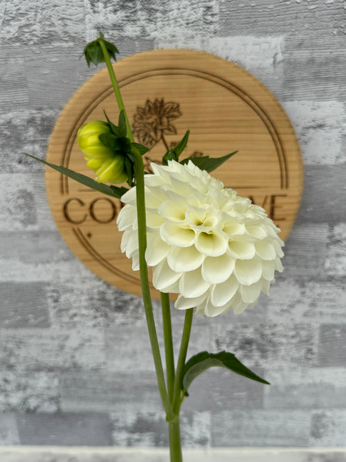 20th AVE & Baker Road