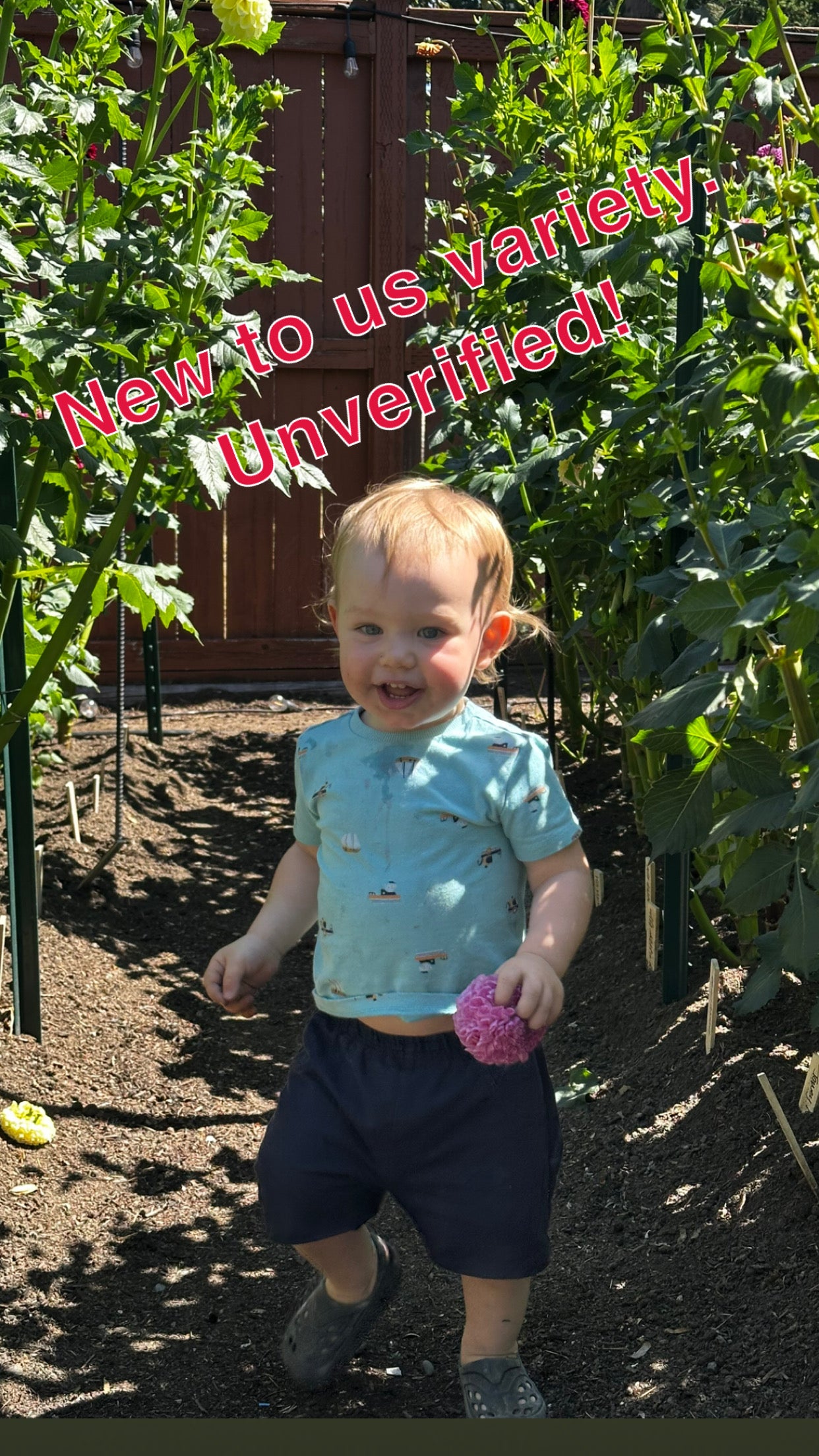 West Coast Cutting (Unverified)