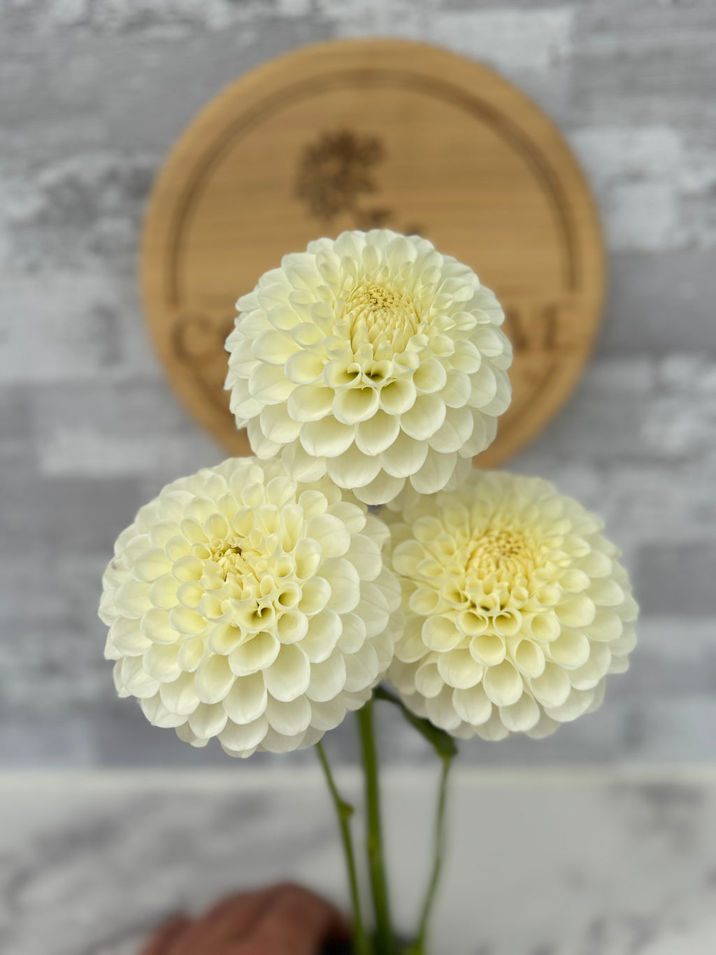 20th AVE & Baker Road