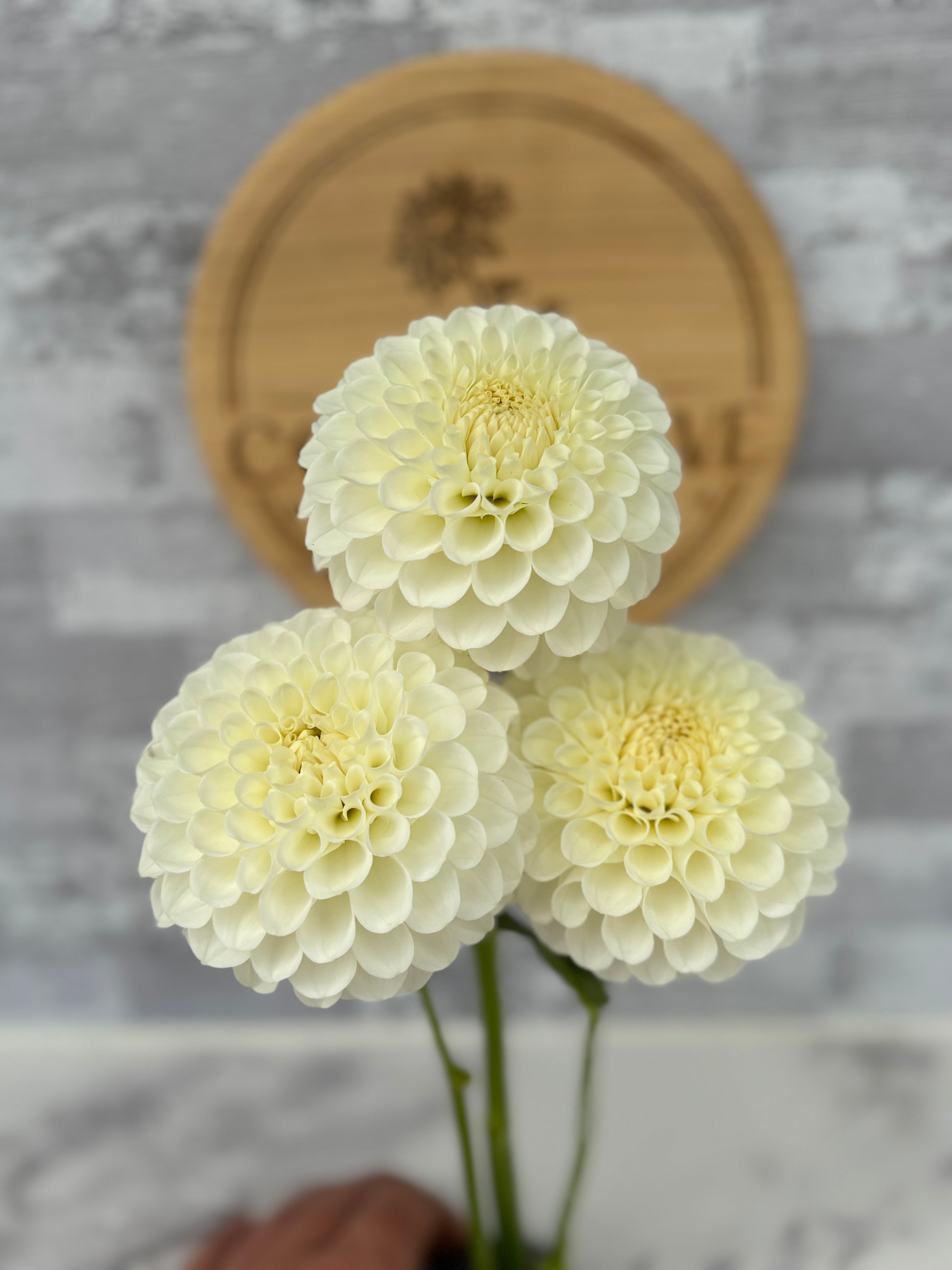 20th AVE & Baker Road