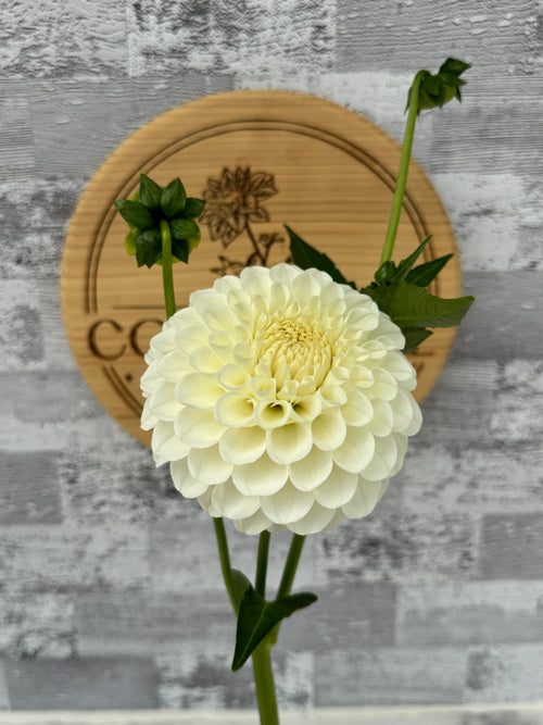 20th AVE & Baker Road