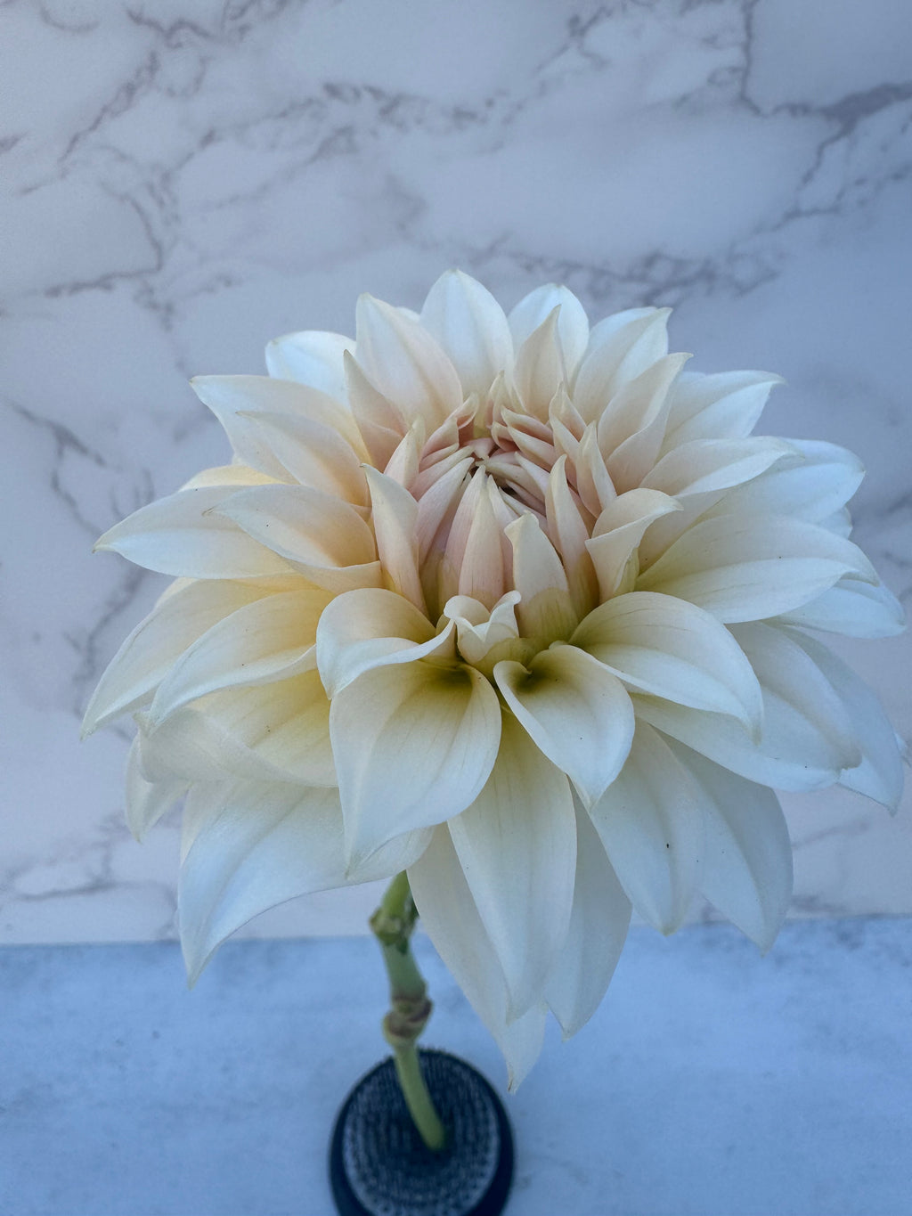 Bell’s la Peach Mode Cutting