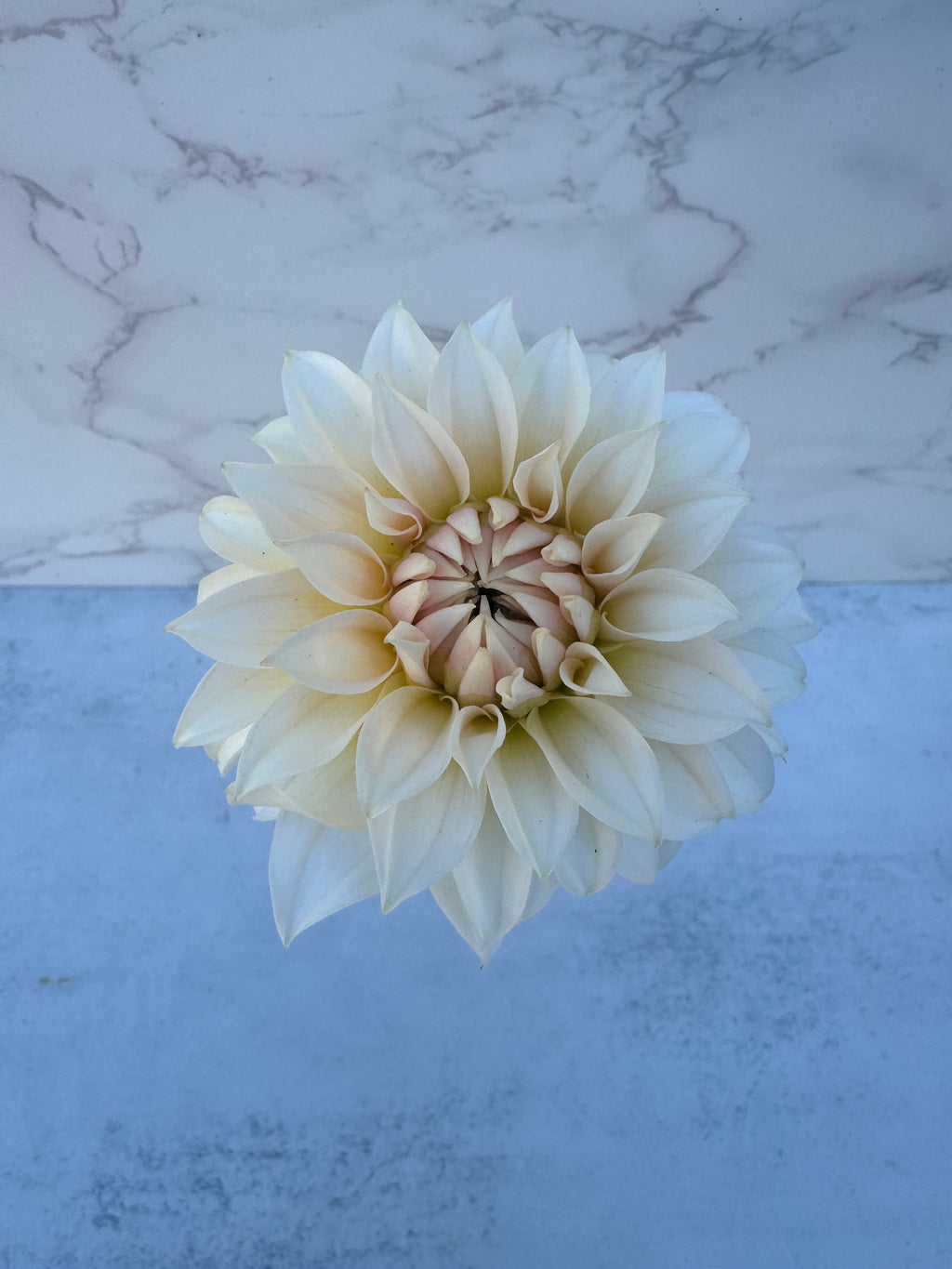 Bell’s la Peach Mode Cutting