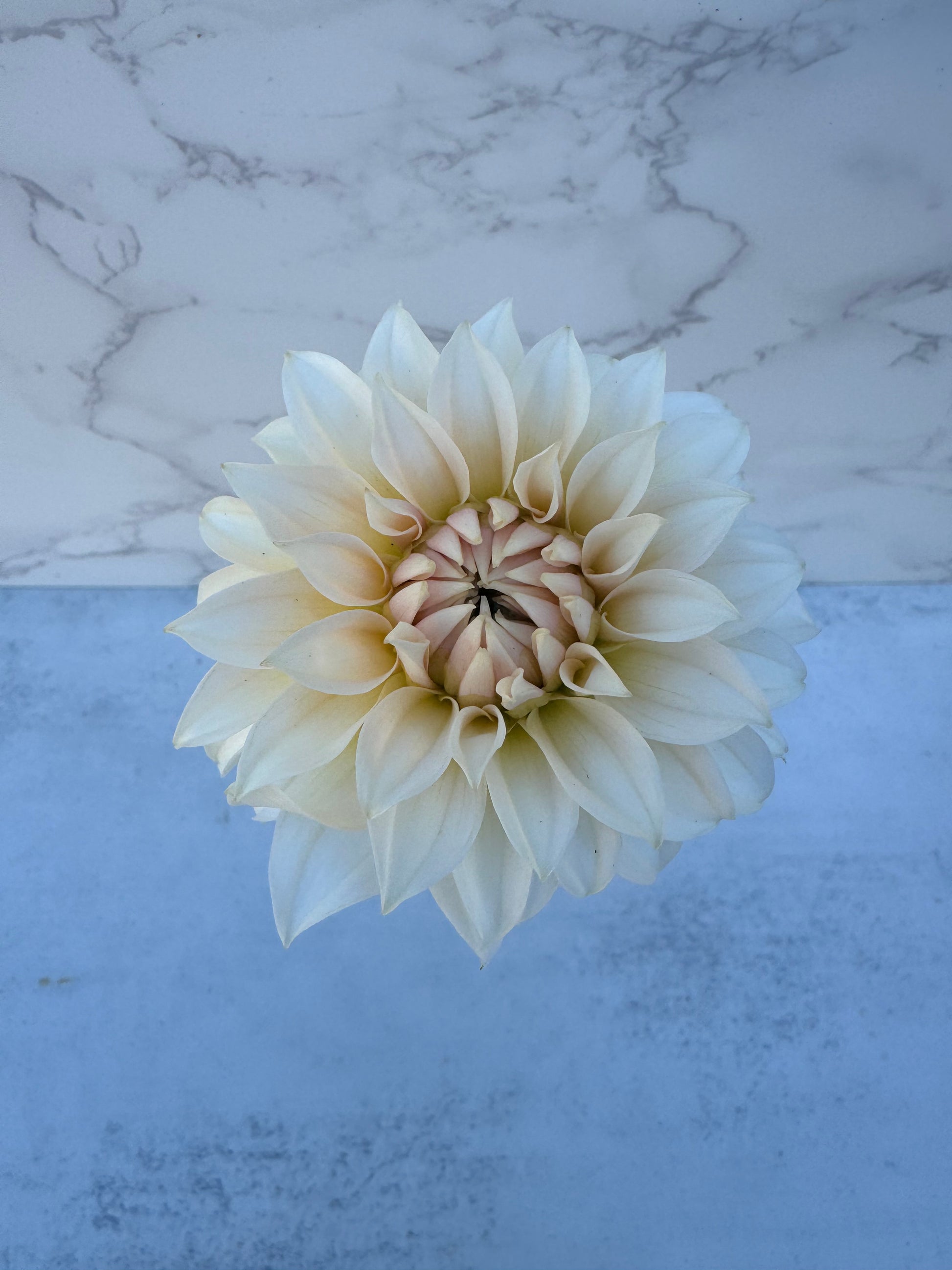 Bell’s la Peach Mode Cutting