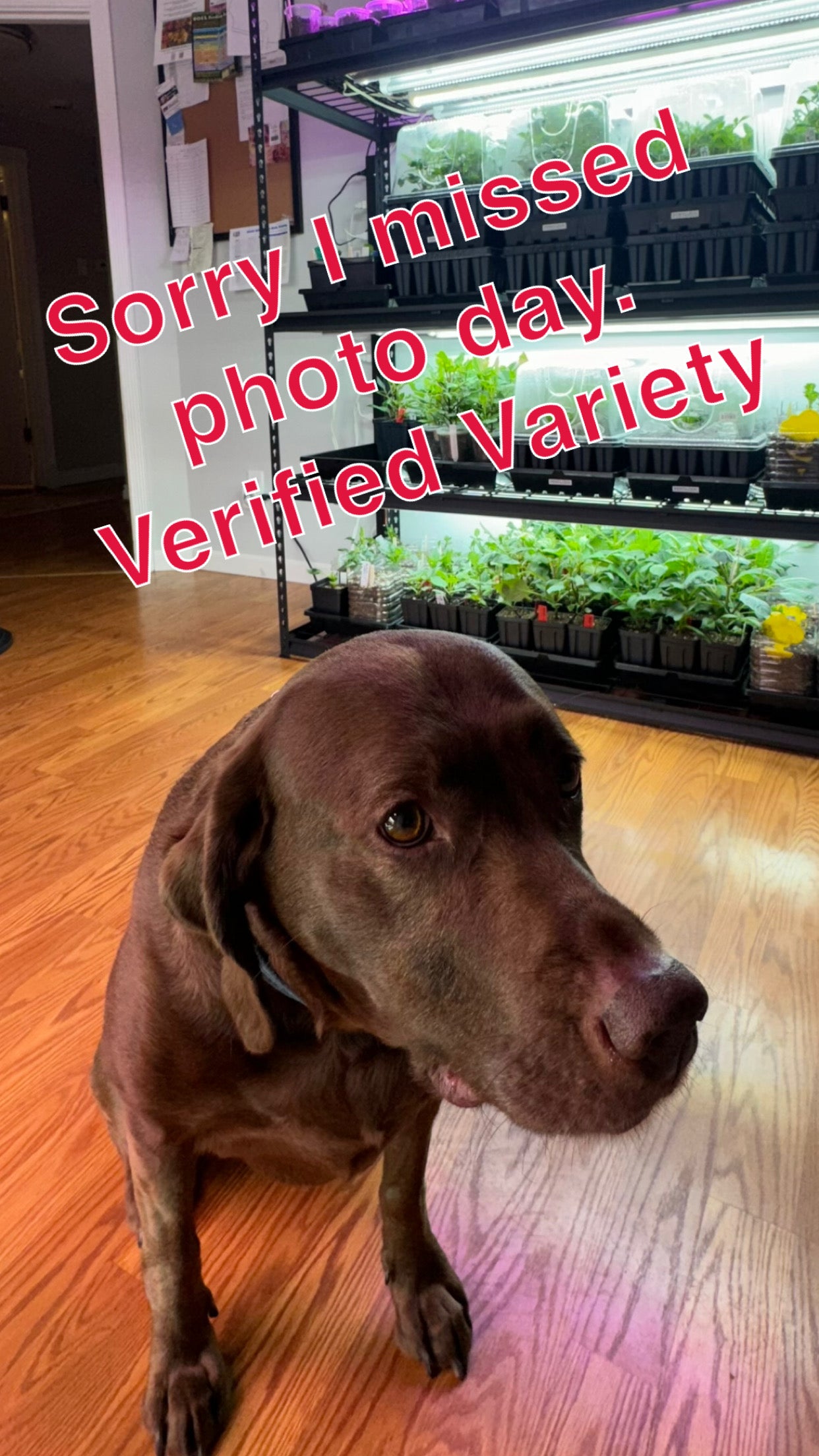 Lee’s Ruthie Cutting